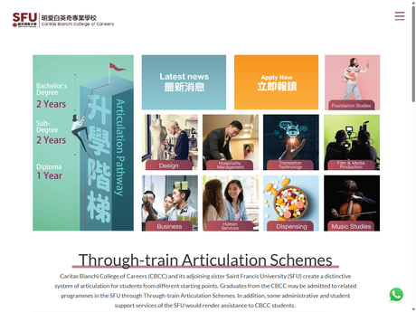 Website Screenshot of Caritas Bianchi College of Careers 